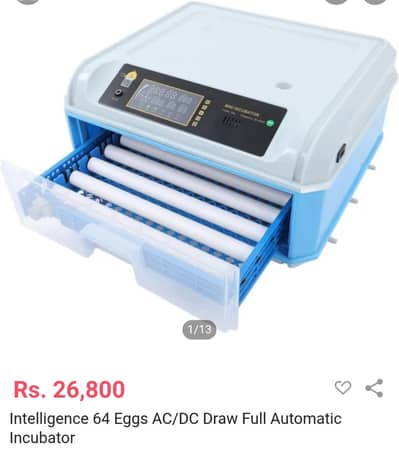Ac DC 64 eggs hatching low price 03435635876