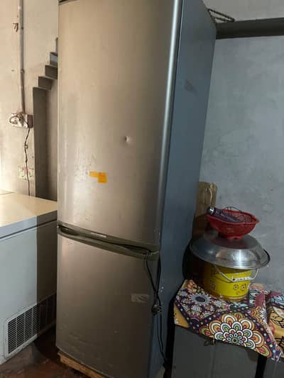 best fridge condition imported