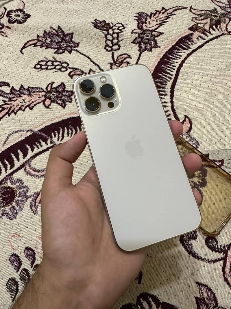 Apple iPhone 13 Pro Max 0