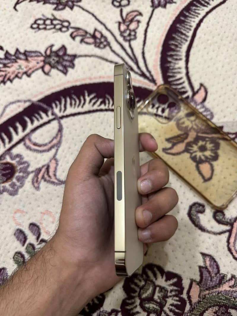 Apple iPhone 13 Pro Max 2