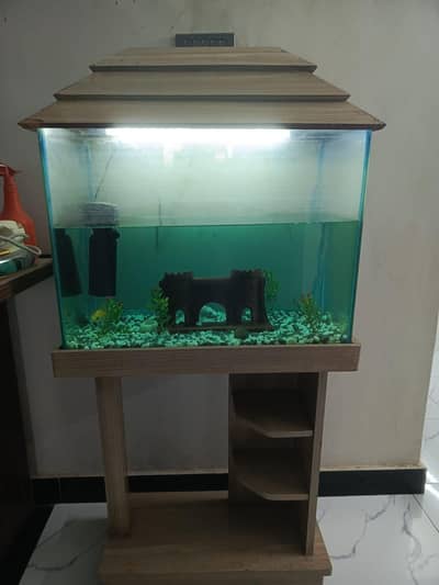 Aquarium for sale with 4 fishes complete setup  with accessories