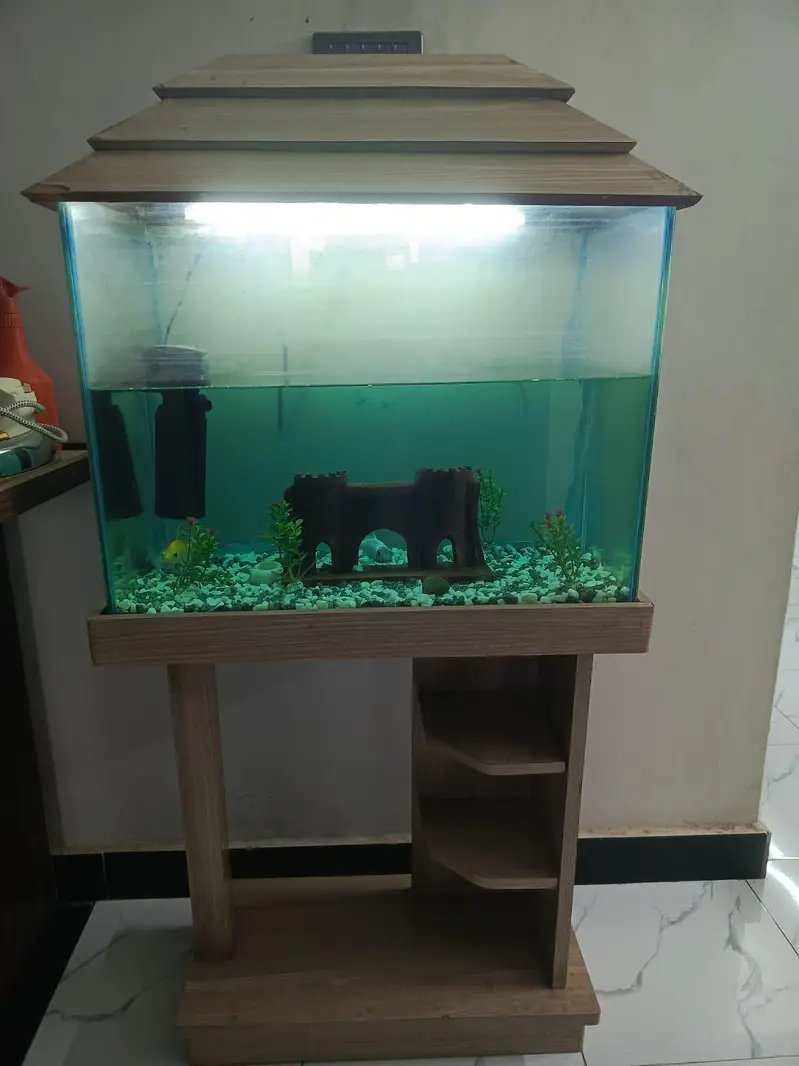 Aquarium for sale with 4 fishes complete setup  with accessories — photo 2