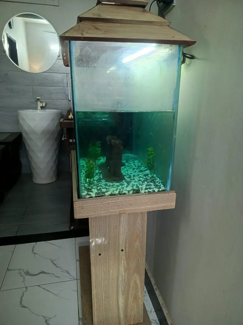 Aquarium for sale with 4 fishes complete setup  with accessories — photo 3