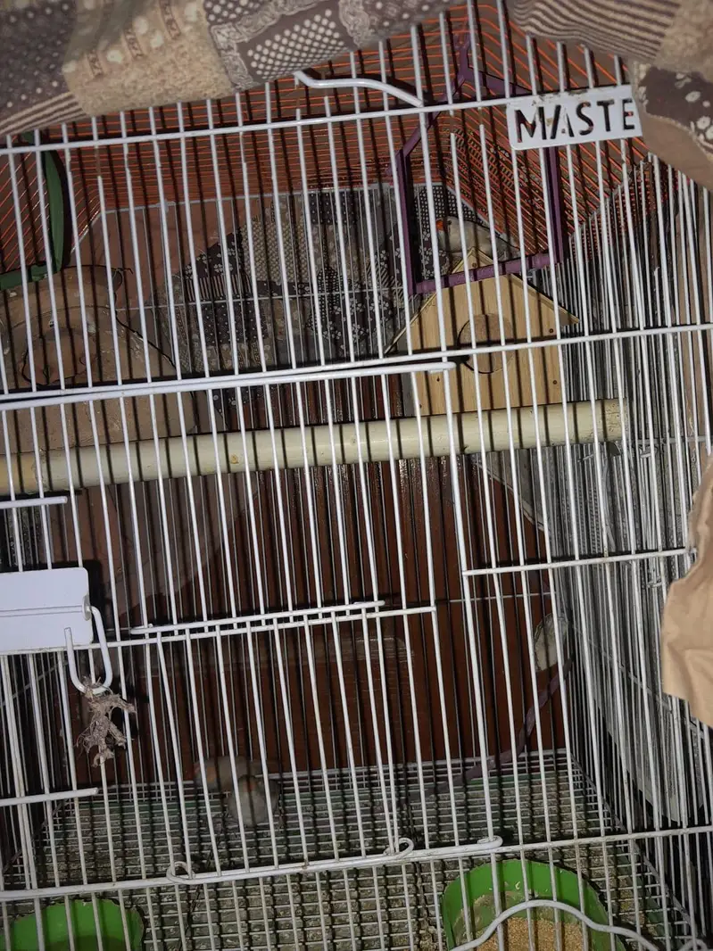 New Cage For Sale only 1 month used with 2 boxes. — photo 2