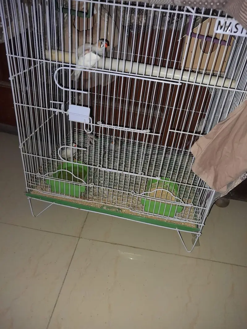 New Cage For Sale only 1 month used with 2 boxes. — photo 3