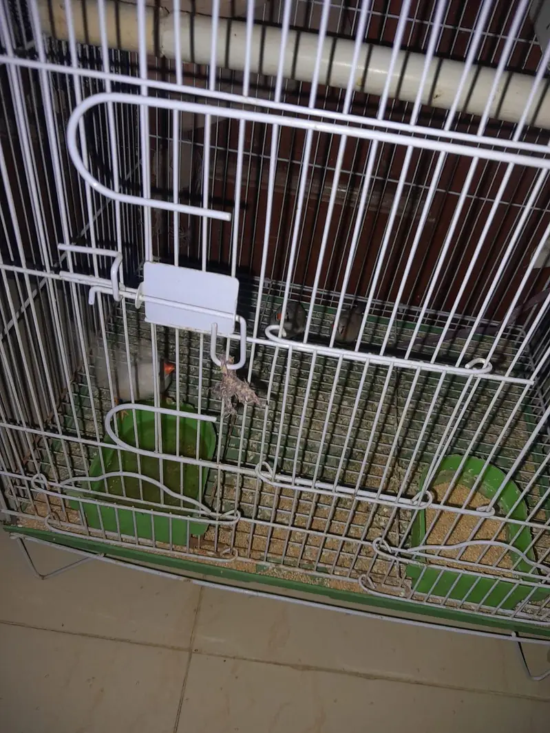 New Cage For Sale only 1 month used with 2 boxes. — photo 4