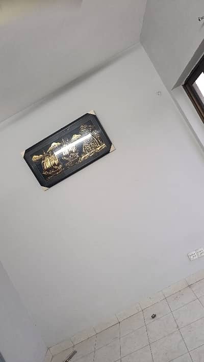 ONLY FOR LADYES   Pine Avenue main road  V BEAUTIFUL FLAT  NEAR MAIN