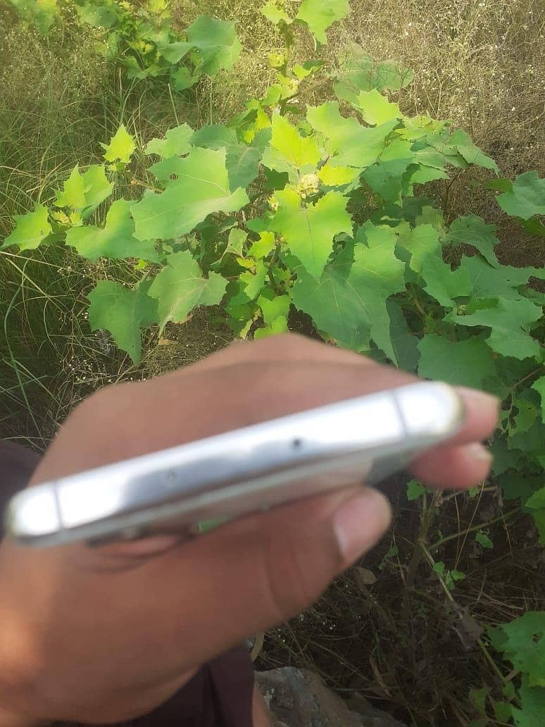 Huawei P30 Pro 1