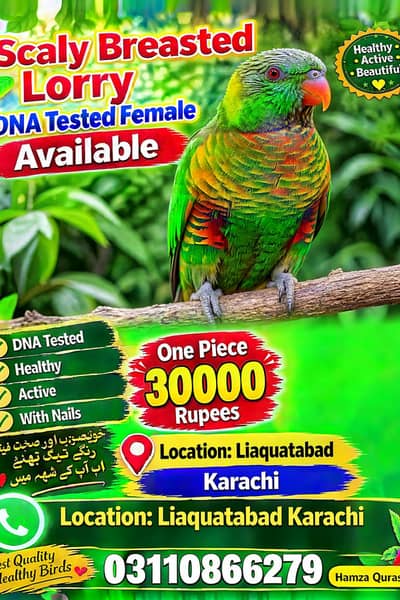 only seriously buyer what's up per bhi rabta kar Sakta ha