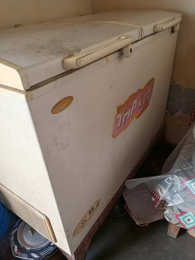 walse freezer
