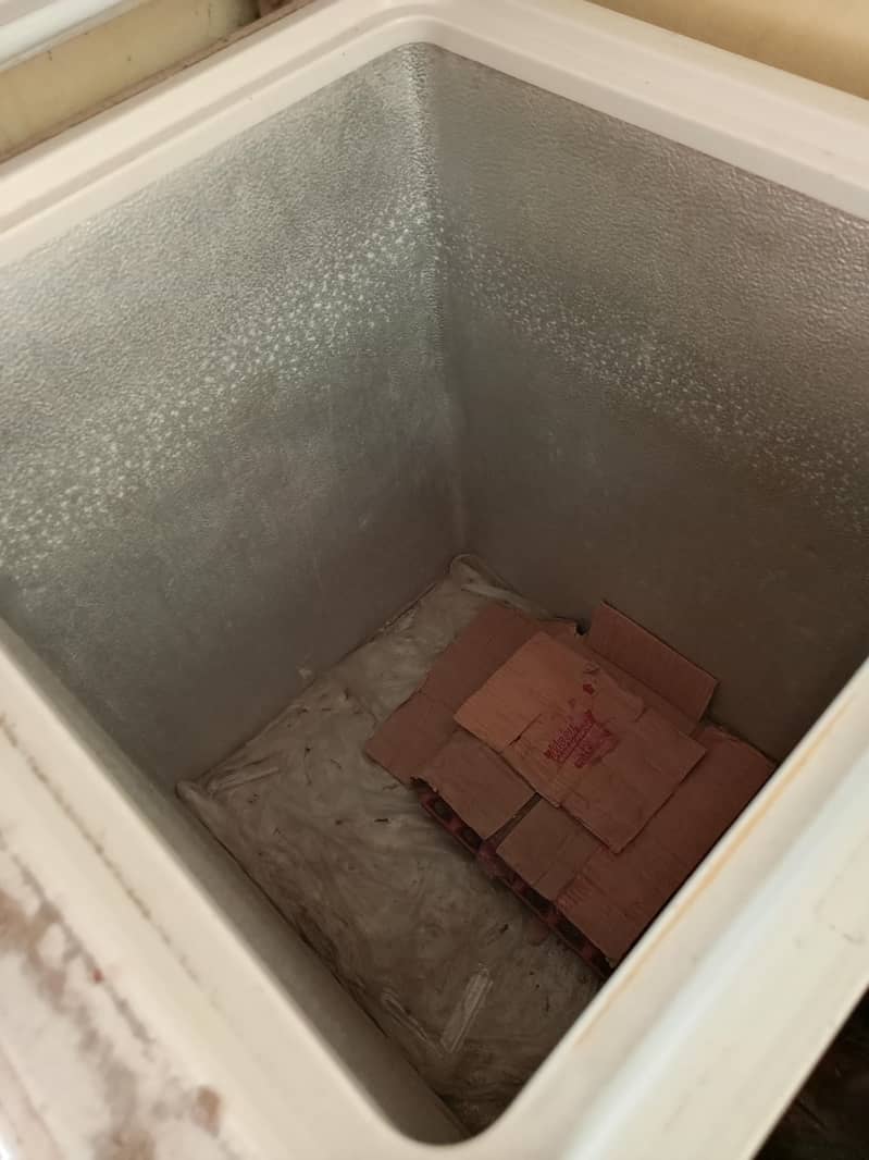 walse freezer 2