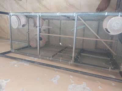 birds cage