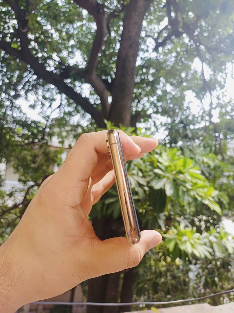 Apple iPhone XS Max 2