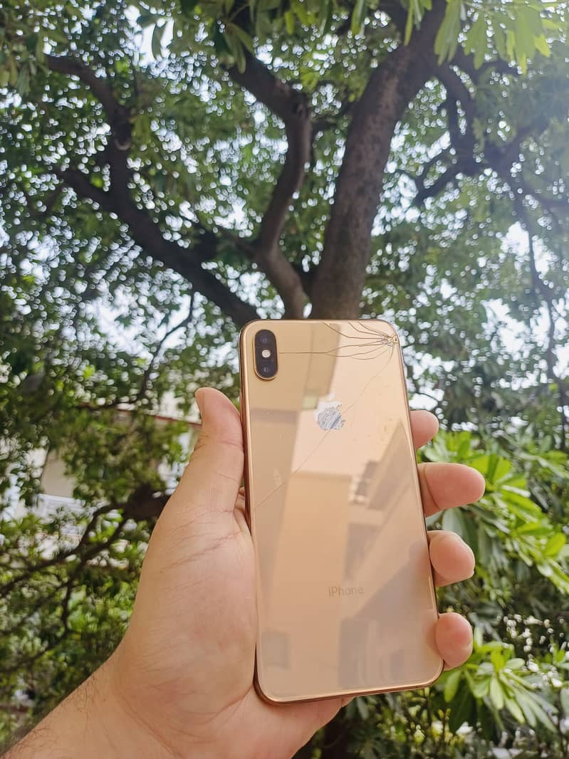 Apple iPhone XS Max 1