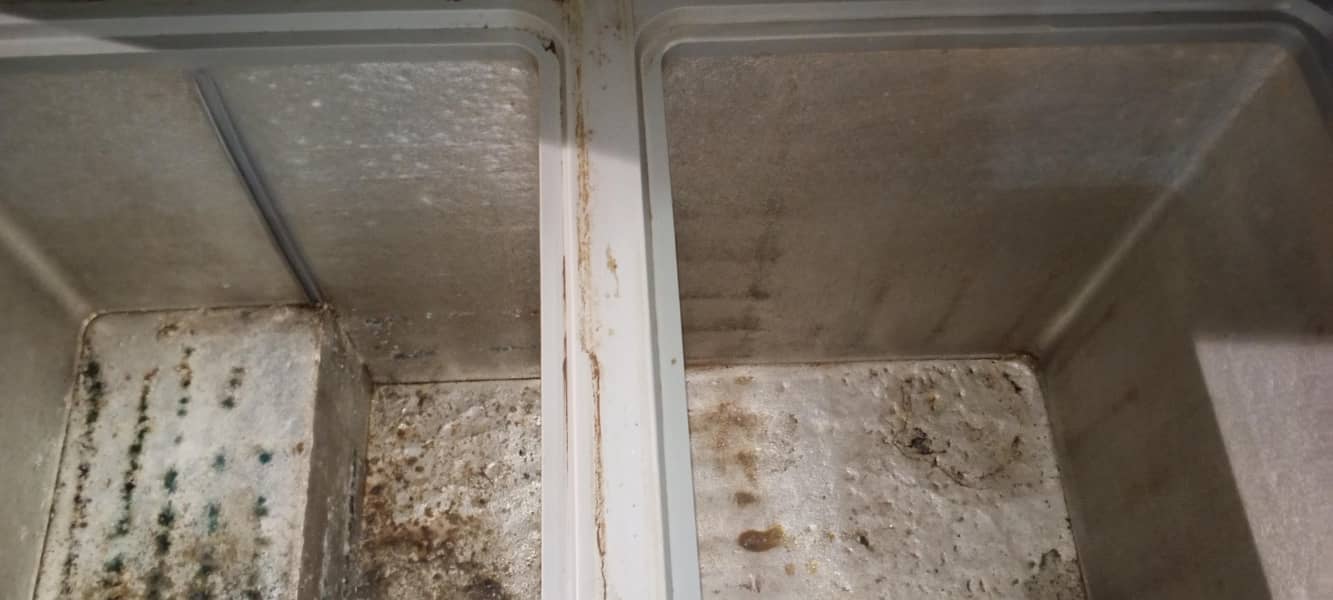 Waves deep freezer double door. 7