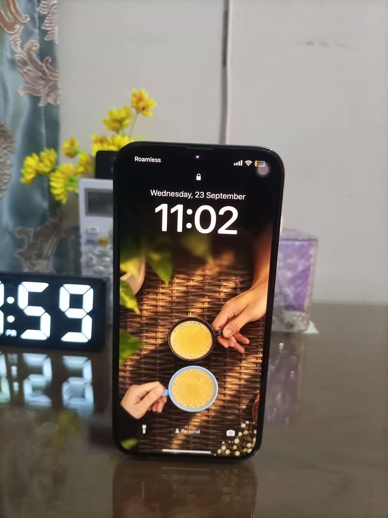 Apple iPhone 13 Pro Max 0