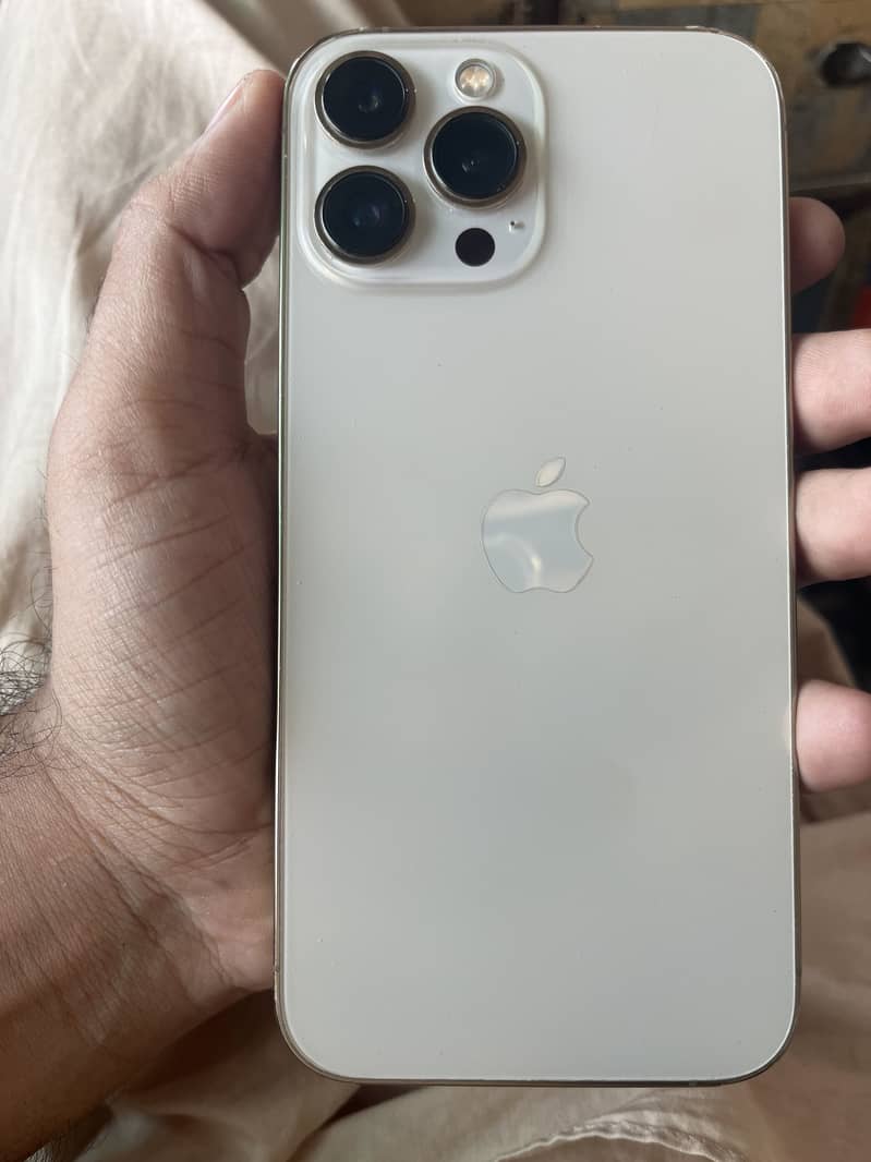 Apple iPhone 13 Pro Max 1