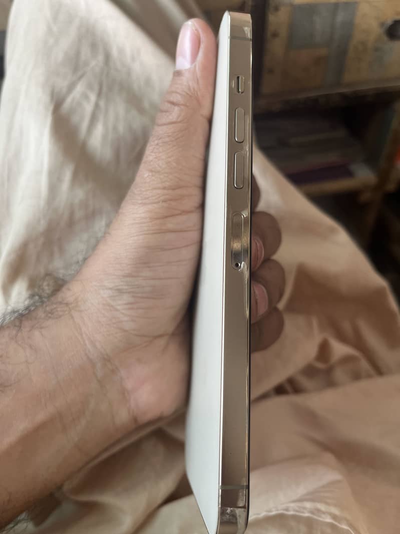 Apple iPhone 13 Pro Max 3