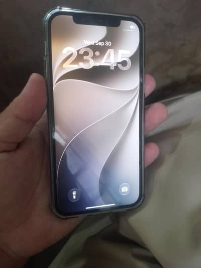 Apple iPhone 12 Pro