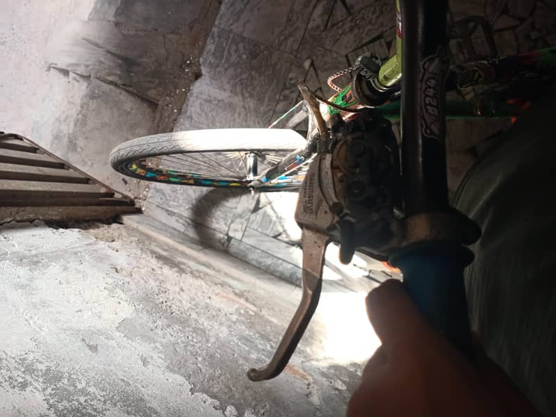 phonex cycle 2