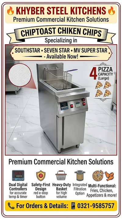 deep fryer / deep fryer double / Stainless Steel Deep Fryer / fryer