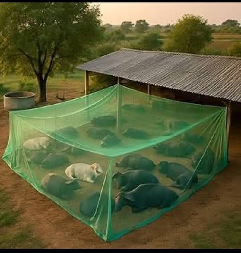 MOSQUITOES NET 7