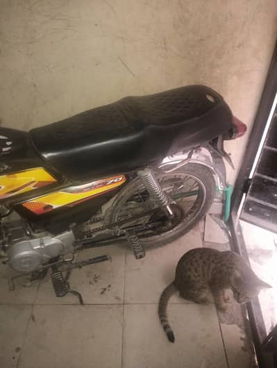 road prince 14 model