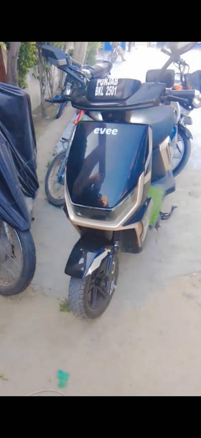 evee janze