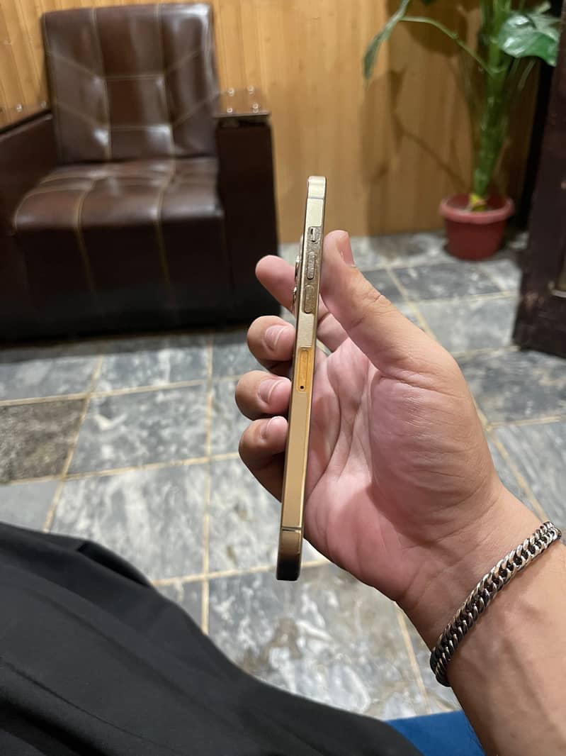 Apple iPhone 12 Pro Max 1