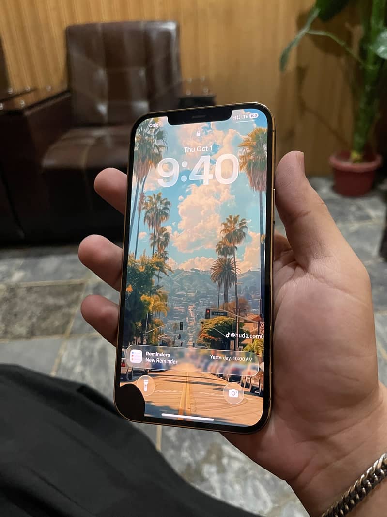 Apple iPhone 12 Pro Max 2