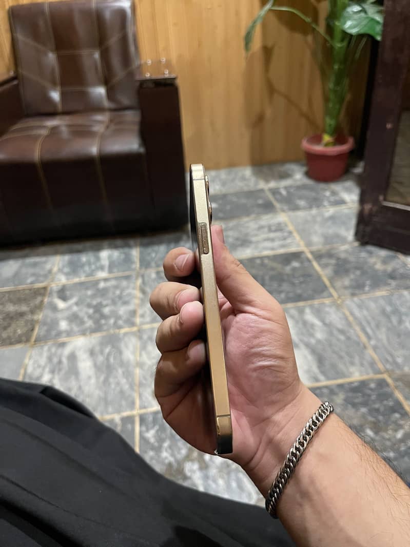 Apple iPhone 12 Pro Max 6