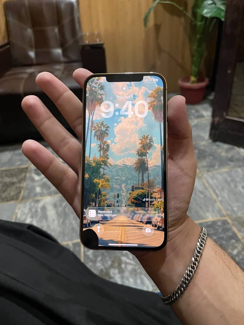 Apple iPhone 12 Pro Max 8