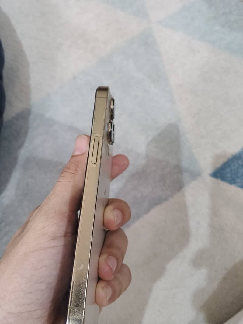 Apple iPhone 13 Pro 2