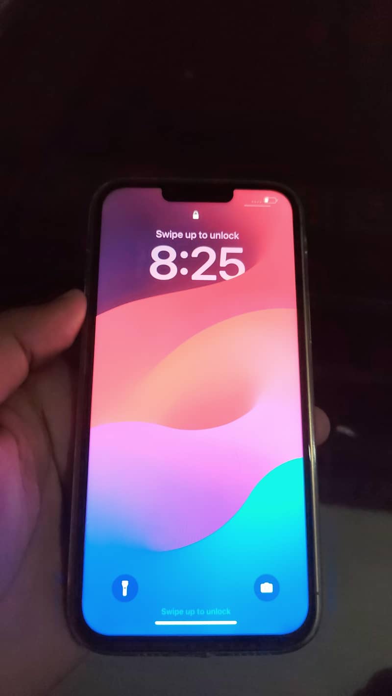 iPhone 13 Pro Max 0