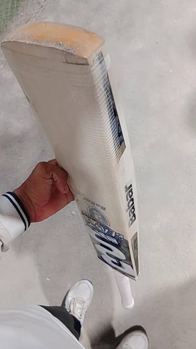 BS bat