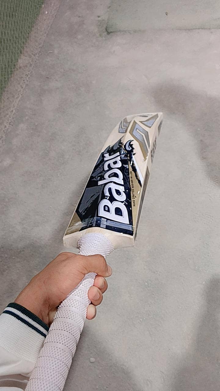 BS bat 3