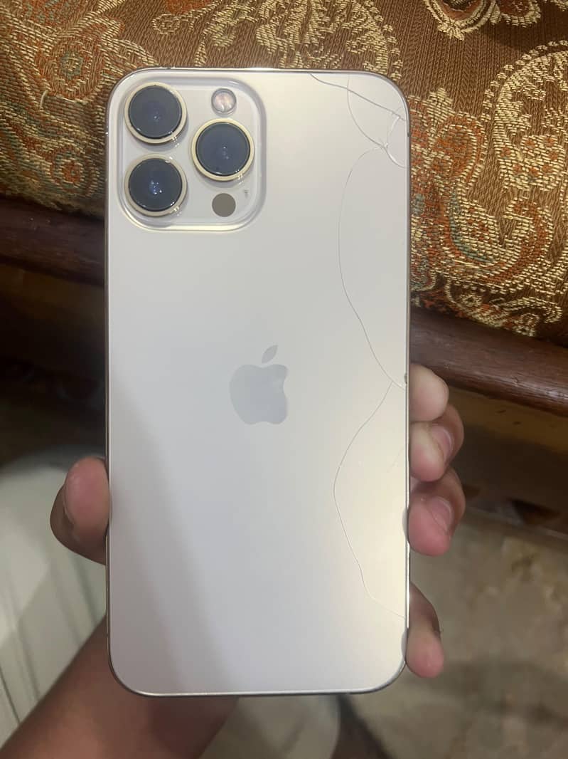 Apple iPhone 13 Pro Max 0