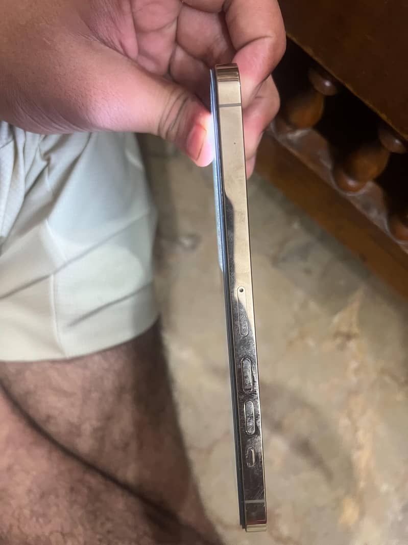 Apple iPhone 13 Pro Max 4