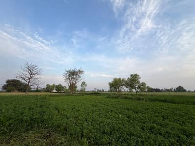Commercial Plot Of 8 Marla In DHA 11 Rahbar For Sale