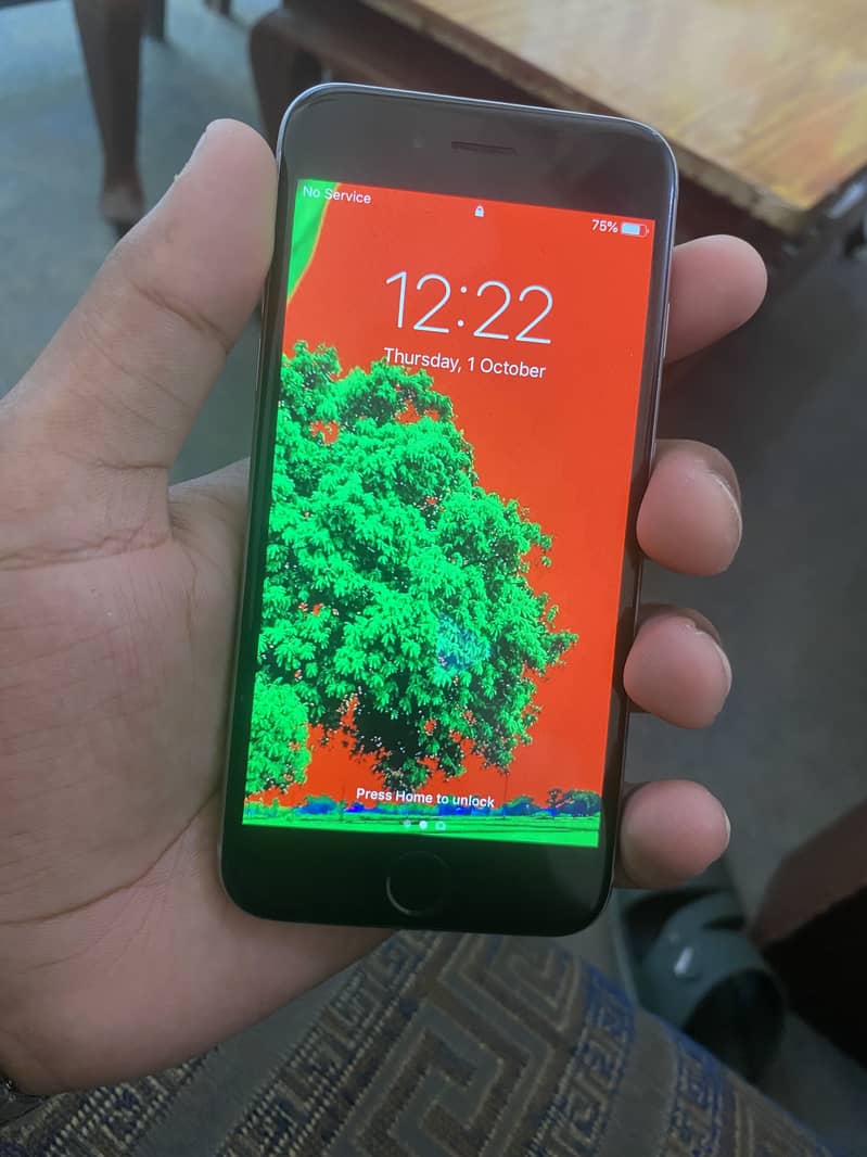 Apple iPhone 6 1