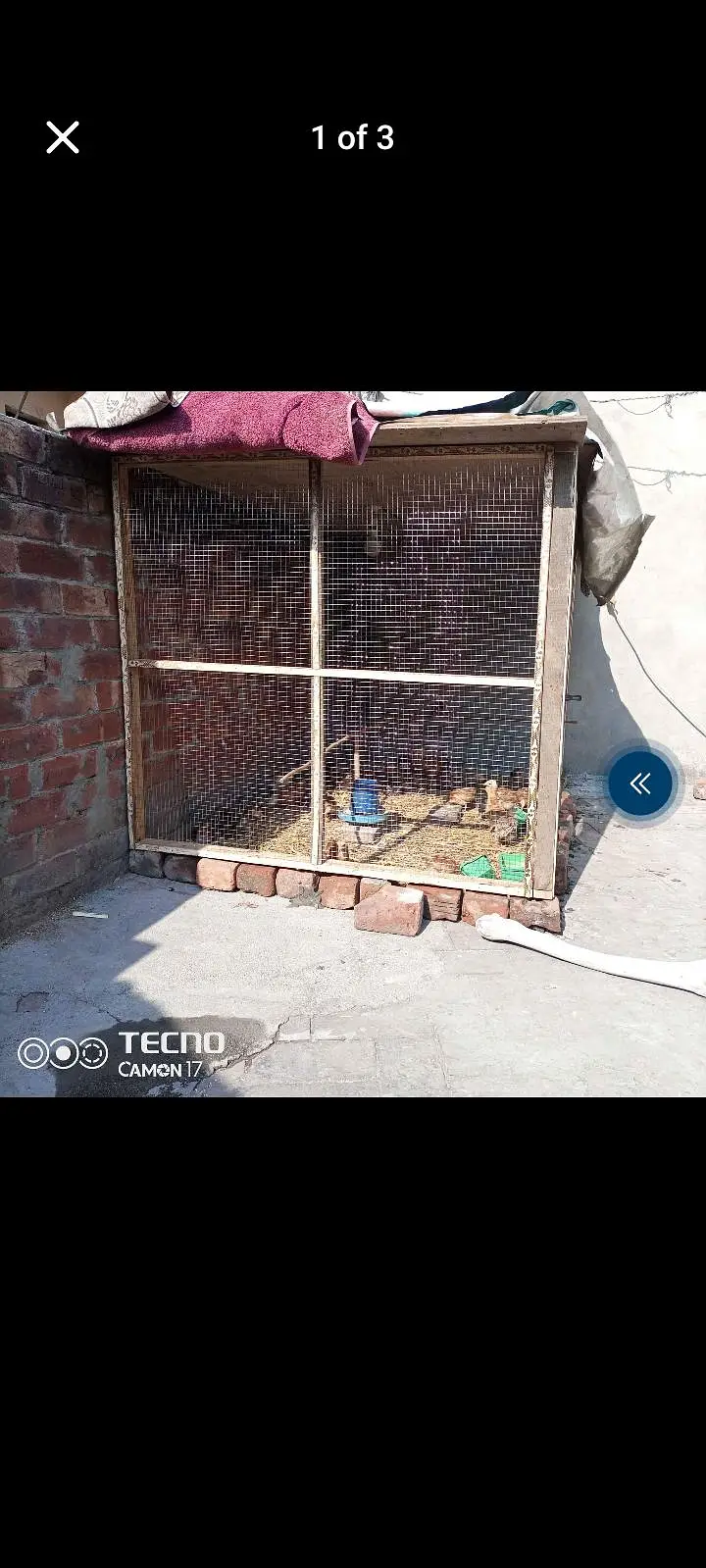 Wooden cage 6x4 available for sale. — photo 2