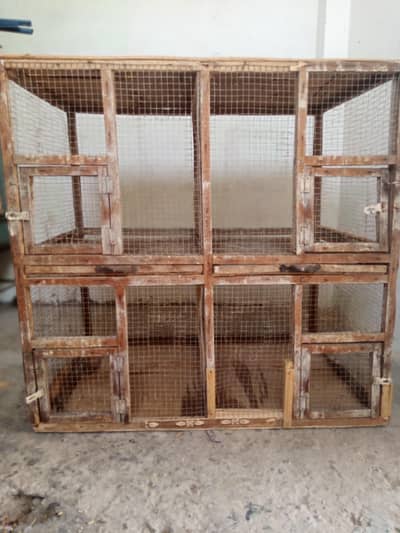 finch cage pinjra