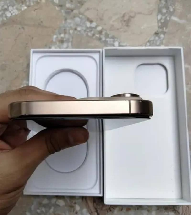 Apple iPhone 16 Pro Max 1