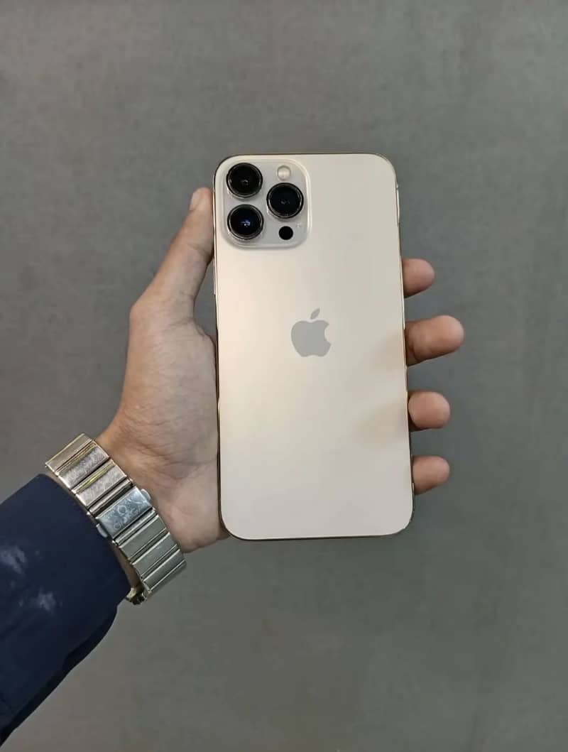 Apple iPhone 13 Pro Max 0