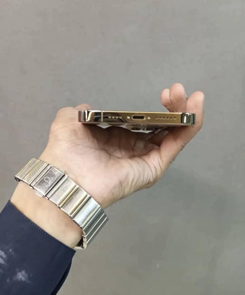Apple iPhone 13 Pro Max 1