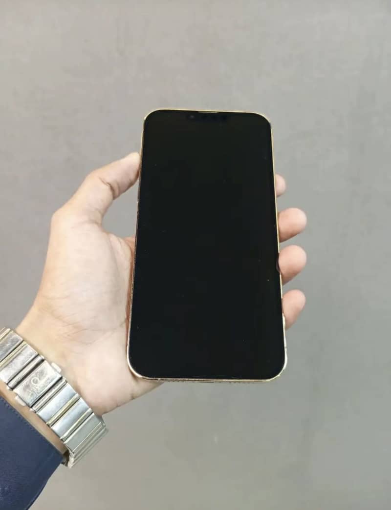 Apple iPhone 13 Pro Max 2