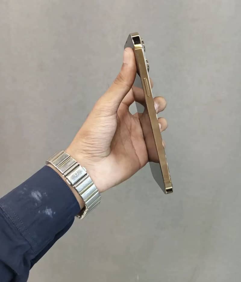 Apple iPhone 13 Pro Max 3