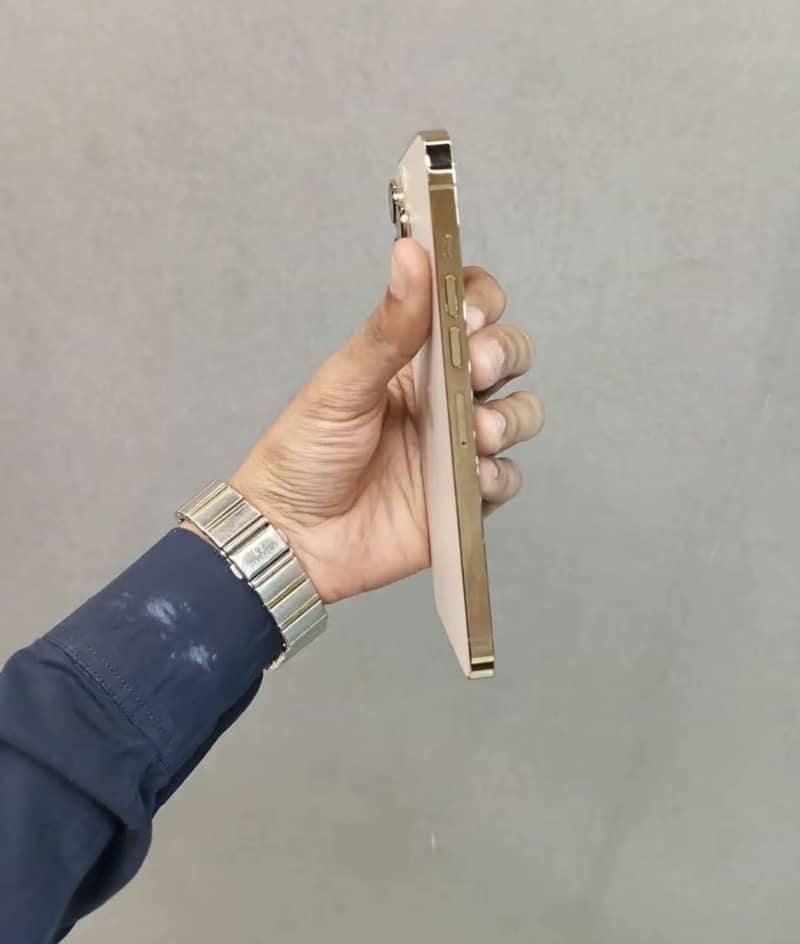Apple iPhone 13 Pro Max 4