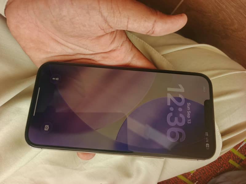 Apple iPhone 13 Pro Max 1