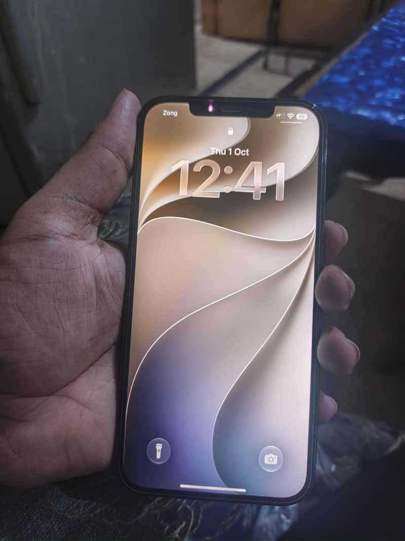 Apple iPhone 12 Pro Max 0
